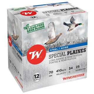 12/70 Winchester Special Plaines Steel